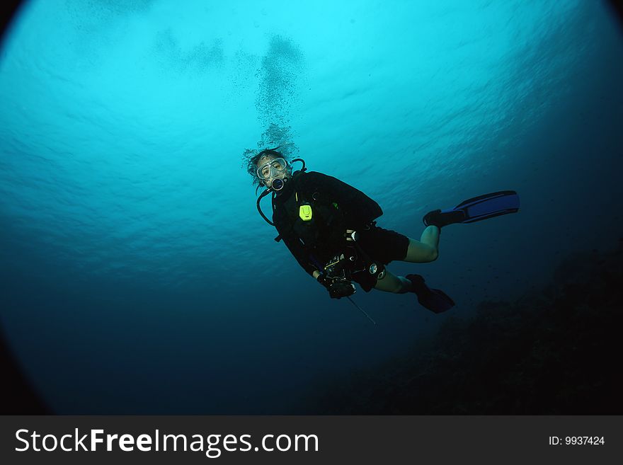 Female Scuba Diver,Underwater Indonesia. Female Scuba Diver,Underwater Indonesia