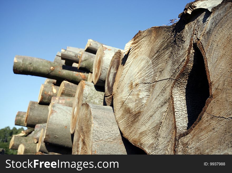 Stack of chopped wood on a wood yard in Upper Silesia, Poland. Birch trees close-up.