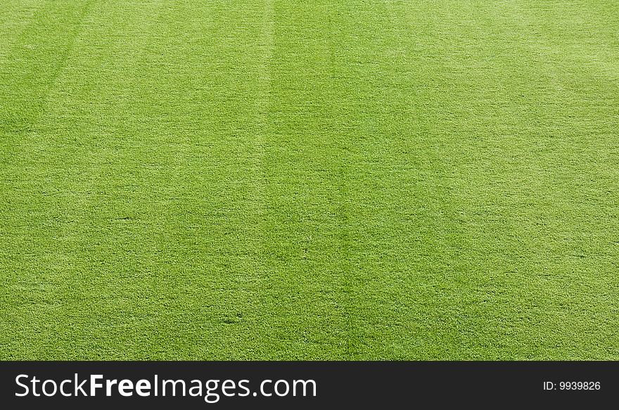 Green Grass from a football field creating a nice background. Green Grass from a football field creating a nice background