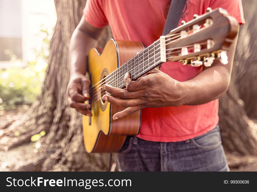 Guitar, Musical Instrument, String Instrument, Plucked String Instruments