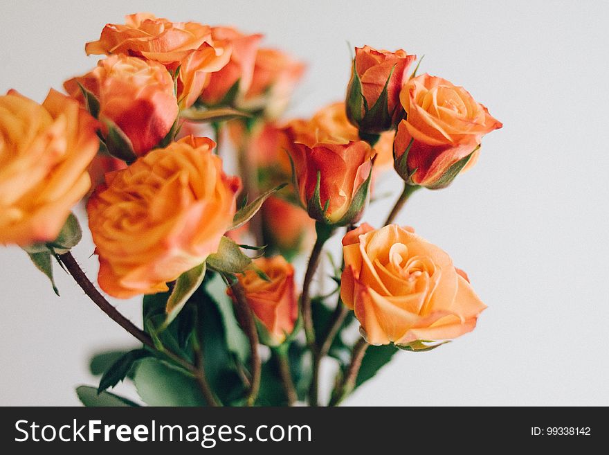 A bouquet of orange roses.