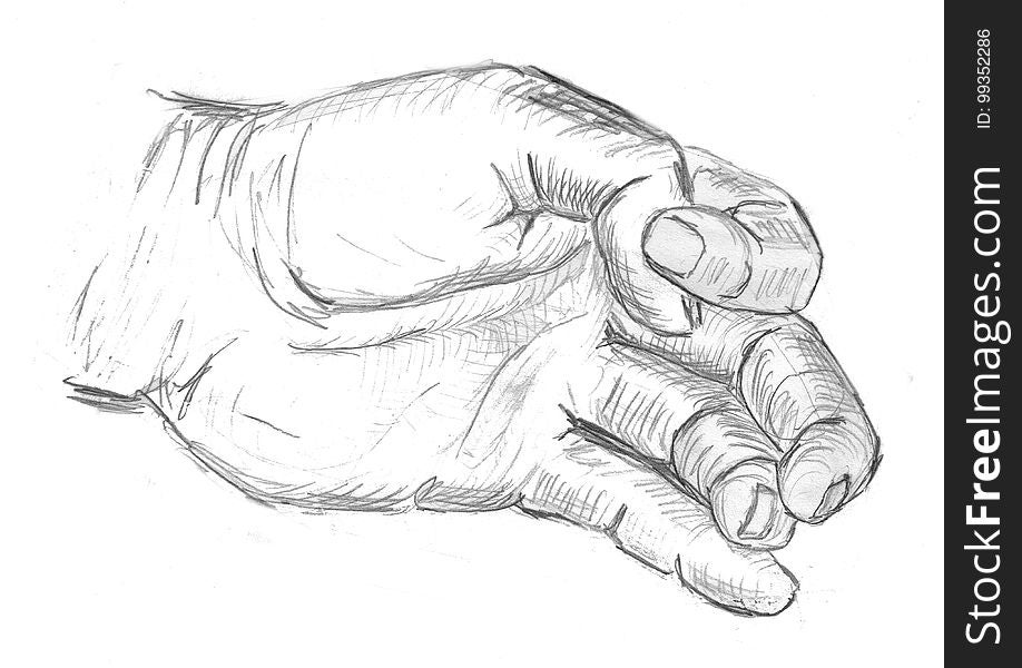 Hand, Line Art, Mammal, Finger