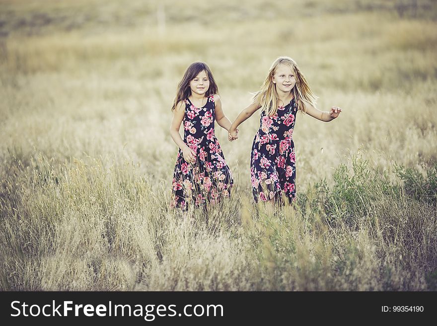 Photograph, Lavender, Prairie, Grassland