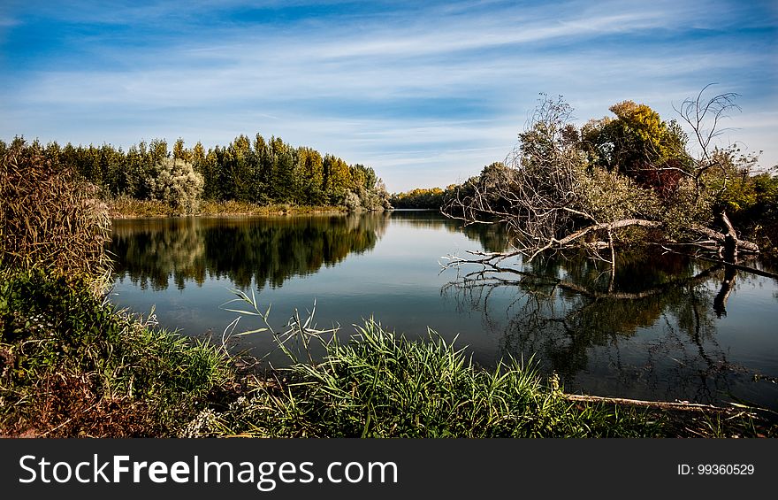 Reflection, Water, Nature, Waterway