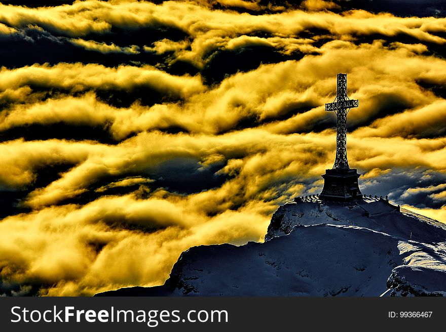 Yellow, Sky, Water, Tree