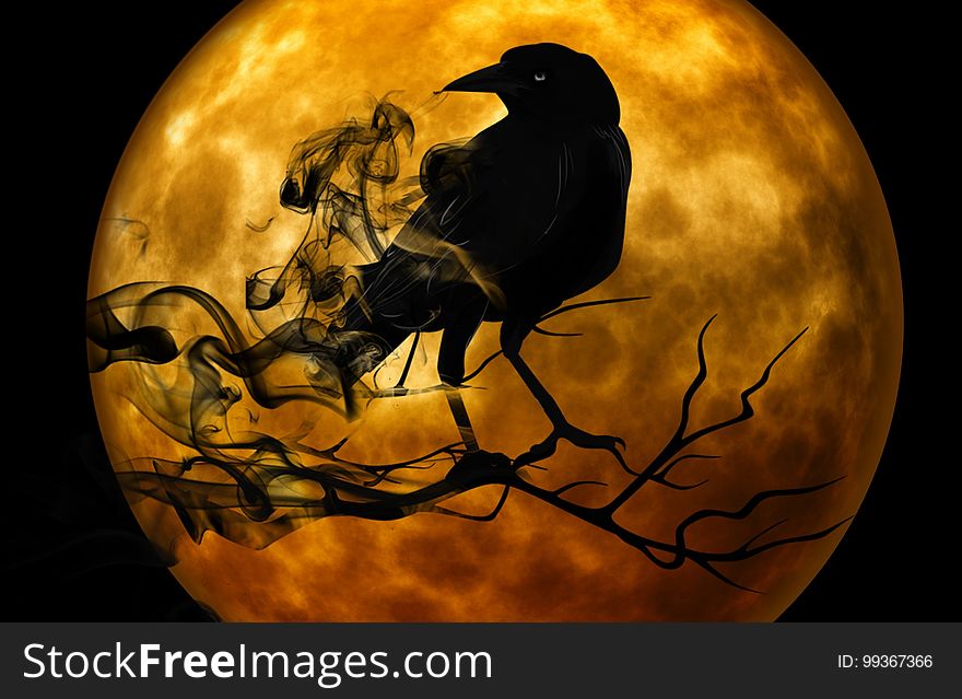 Halloween, Moon, Pumpkin, Computer Wallpaper