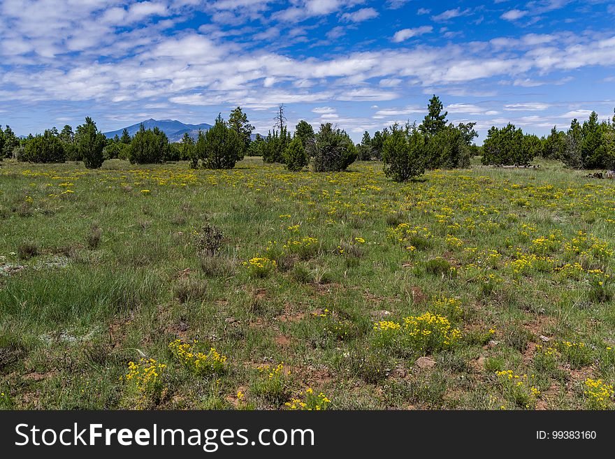 View of the San Francisco Peaks from Anderson Mesa. The Arizona National Scenic Trail Anderson Mesa Passage &#x28;AZT-30&#x29; traverses Anderson Mesa in the Lake Mary area southeast of Flagstaff. The passage begins northwest of Mormon Lake, crosses Lake Mary Road near Pinegrove Campground, and ascends Anderson Mesa, passing near several small wetlands on its way to Marshall Lake, the most well-known of these magical and important wildlife habitats. Between Vail and Prime Lakes, the trail skirts around observatory facilities to the edge of the mesa, providing a stunning panoramic view of Lake Mary. On Coconino National Forest maps, the Arizona Trail is labeled as trail number 87 for its entire traversal of the Forest. This photo was taken in August 2017 by Deborah Lee Soltesz during a day hike from Marshall Lake to a point just west of Vail Lake. Credit: U.S. Forest Service Coconino National Forest. For information on this passage, visit Arizona Trail: Anderson Mesa Passage AZT-30 and download the Anderson Mesa Passage AZT-30 trail map. Visit Coconino National Forest for more trails and other recreation opportunities. View of the San Francisco Peaks from Anderson Mesa. The Arizona National Scenic Trail Anderson Mesa Passage &#x28;AZT-30&#x29; traverses Anderson Mesa in the Lake Mary area southeast of Flagstaff. The passage begins northwest of Mormon Lake, crosses Lake Mary Road near Pinegrove Campground, and ascends Anderson Mesa, passing near several small wetlands on its way to Marshall Lake, the most well-known of these magical and important wildlife habitats. Between Vail and Prime Lakes, the trail skirts around observatory facilities to the edge of the mesa, providing a stunning panoramic view of Lake Mary. On Coconino National Forest maps, the Arizona Trail is labeled as trail number 87 for its entire traversal of the Forest. This photo was taken in August 2017 by Deborah Lee Soltesz during a day hike from Marshall Lake to a point just west of Vail Lake. Credit: U.S. Forest Service Coconino National Forest. For information on this passage, visit Arizona Trail: Anderson Mesa Passage AZT-30 and download the Anderson Mesa Passage AZT-30 trail map. Visit Coconino National Forest for more trails and other recreation opportunities.