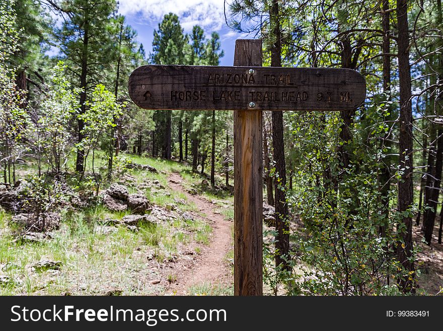 Ascending to the top of Anderson Mesa from Marshall Lake through a shady section of oak and ponderosa pine. The Arizona National Scenic Trail Anderson Mesa Passage &#x28;AZT-30&#x29; traverses Anderson Mesa in the Lake Mary area southeast of Flagstaff. The passage begins northwest of Mormon Lake, crosses Lake Mary Road near Pinegrove Campground, and ascends Anderson Mesa, passing near several small wetlands on its way to Marshall Lake, the most well-known of these magical and important wildlife habitats. Between Vail and Prime Lakes, the trail skirts around observatory facilities to the edge of the mesa, providing a stunning panoramic view of Lake Mary. On Coconino National Forest maps, the Arizona Trail is labeled as trail number 87 for its entire traversal of the Forest. This photo was taken in August 2017 by Deborah Lee Soltesz during a day hike from Marshall Lake to a point just west of Vail Lake. Credit: U.S. Forest Service Coconino National Forest. For information on this passage, visit Arizona Trail: Anderson Mesa Passage AZT-30 and download the Anderson Mesa Passage AZT-30 trail map. Visit Coconino National Forest for more trails and other recreation opportunities. Ascending to the top of Anderson Mesa from Marshall Lake through a shady section of oak and ponderosa pine. The Arizona National Scenic Trail Anderson Mesa Passage &#x28;AZT-30&#x29; traverses Anderson Mesa in the Lake Mary area southeast of Flagstaff. The passage begins northwest of Mormon Lake, crosses Lake Mary Road near Pinegrove Campground, and ascends Anderson Mesa, passing near several small wetlands on its way to Marshall Lake, the most well-known of these magical and important wildlife habitats. Between Vail and Prime Lakes, the trail skirts around observatory facilities to the edge of the mesa, providing a stunning panoramic view of Lake Mary. On Coconino National Forest maps, the Arizona Trail is labeled as trail number 87 for its entire traversal of the Forest. This photo was taken in August 2017 by Deborah Lee Soltesz during a day hike from Marshall Lake to a point just west of Vail Lake. Credit: U.S. Forest Service Coconino National Forest. For information on this passage, visit Arizona Trail: Anderson Mesa Passage AZT-30 and download the Anderson Mesa Passage AZT-30 trail map. Visit Coconino National Forest for more trails and other recreation opportunities.