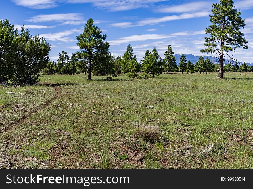 View of the San Francisco Peaks from Anderson Mesa. The Arizona National Scenic Trail Anderson Mesa Passage &#x28;AZT-30&#x29; traverses Anderson Mesa in the Lake Mary area southeast of Flagstaff. The passage begins northwest of Mormon Lake, crosses Lake Mary Road near Pinegrove Campground, and ascends Anderson Mesa, passing near several small wetlands on its way to Marshall Lake, the most well-known of these magical and important wildlife habitats. Between Vail and Prime Lakes, the trail skirts around observatory facilities to the edge of the mesa, providing a stunning panoramic view of Lake Mary. On Coconino National Forest maps, the Arizona Trail is labeled as trail number 87 for its entire traversal of the Forest. This photo was taken in August 2017 by Deborah Lee Soltesz during a day hike from Marshall Lake to a point just west of Vail Lake. Credit: U.S. Forest Service Coconino National Forest. For information on this passage, visit Arizona Trail: Anderson Mesa Passage AZT-30 and download the Anderson Mesa Passage AZT-30 trail map. Visit Coconino National Forest for more trails and other recreation opportunities. View of the San Francisco Peaks from Anderson Mesa. The Arizona National Scenic Trail Anderson Mesa Passage &#x28;AZT-30&#x29; traverses Anderson Mesa in the Lake Mary area southeast of Flagstaff. The passage begins northwest of Mormon Lake, crosses Lake Mary Road near Pinegrove Campground, and ascends Anderson Mesa, passing near several small wetlands on its way to Marshall Lake, the most well-known of these magical and important wildlife habitats. Between Vail and Prime Lakes, the trail skirts around observatory facilities to the edge of the mesa, providing a stunning panoramic view of Lake Mary. On Coconino National Forest maps, the Arizona Trail is labeled as trail number 87 for its entire traversal of the Forest. This photo was taken in August 2017 by Deborah Lee Soltesz during a day hike from Marshall Lake to a point just west of Vail Lake. Credit: U.S. Forest Service Coconino National Forest. For information on this passage, visit Arizona Trail: Anderson Mesa Passage AZT-30 and download the Anderson Mesa Passage AZT-30 trail map. Visit Coconino National Forest for more trails and other recreation opportunities.