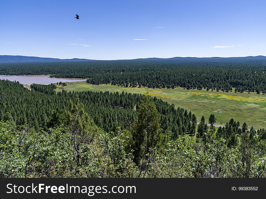 View of Lake Mary from the edge of Anderson Mesa. The Arizona National Scenic Trail Anderson Mesa Passage &#x28;AZT-30&#x29; traverses Anderson Mesa in the Lake Mary area southeast of Flagstaff. The passage begins northwest of Mormon Lake, crosses Lake Mary Road near Pinegrove Campground, and ascends Anderson Mesa, passing near several small wetlands on its way to Marshall Lake, the most well-known of these magical and important wildlife habitats. Between Vail and Prime Lakes, the trail skirts around observatory facilities to the edge of the mesa, providing a stunning panoramic view of Lake Mary. On Coconino National Forest maps, the Arizona Trail is labeled as trail number 87 for its entire traversal of the Forest. This photo was taken in August 2017 by Deborah Lee Soltesz during a day hike from Marshall Lake to a point just west of Vail Lake. Credit: U.S. Forest Service Coconino National Forest. For information on this passage, visit Arizona Trail: Anderson Mesa Passage AZT-30 and download the Anderson Mesa Passage AZT-30 trail map. Visit Coconino National Forest for more trails and other recreation opportunities. View of Lake Mary from the edge of Anderson Mesa. The Arizona National Scenic Trail Anderson Mesa Passage &#x28;AZT-30&#x29; traverses Anderson Mesa in the Lake Mary area southeast of Flagstaff. The passage begins northwest of Mormon Lake, crosses Lake Mary Road near Pinegrove Campground, and ascends Anderson Mesa, passing near several small wetlands on its way to Marshall Lake, the most well-known of these magical and important wildlife habitats. Between Vail and Prime Lakes, the trail skirts around observatory facilities to the edge of the mesa, providing a stunning panoramic view of Lake Mary. On Coconino National Forest maps, the Arizona Trail is labeled as trail number 87 for its entire traversal of the Forest. This photo was taken in August 2017 by Deborah Lee Soltesz during a day hike from Marshall Lake to a point just west of Vail Lake. Credit: U.S. Forest Service Coconino National Forest. For information on this passage, visit Arizona Trail: Anderson Mesa Passage AZT-30 and download the Anderson Mesa Passage AZT-30 trail map. Visit Coconino National Forest for more trails and other recreation opportunities.