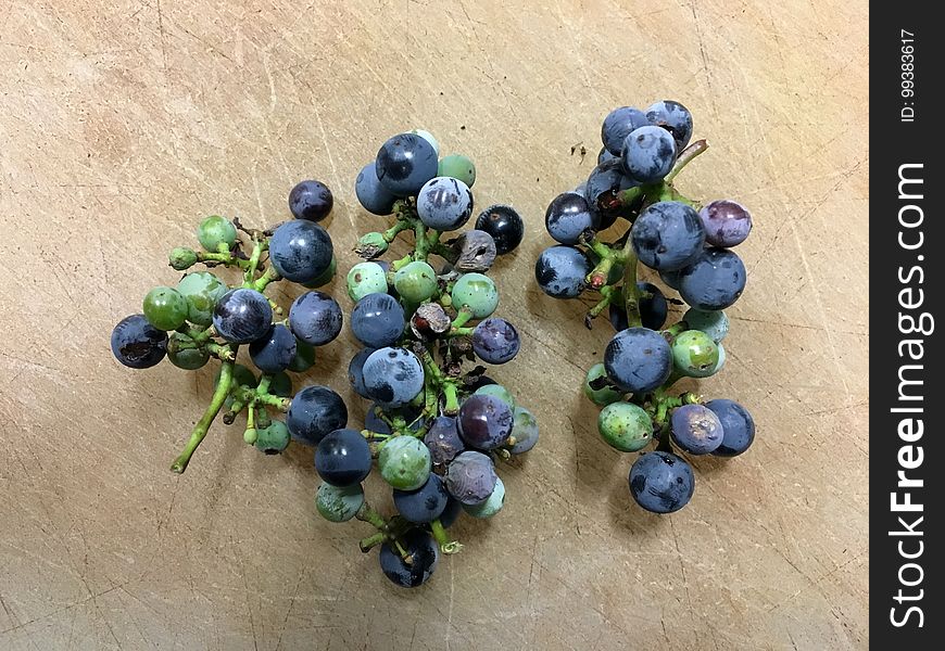 Grabbed a handful of Arizona Grape Vitis arizonica, growing along a road side ditch. They are tasty if tiny, but the real goal was to save a bunch of seeds to plant in my yard. Grabbed a handful of Arizona Grape Vitis arizonica, growing along a road side ditch. They are tasty if tiny, but the real goal was to save a bunch of seeds to plant in my yard.