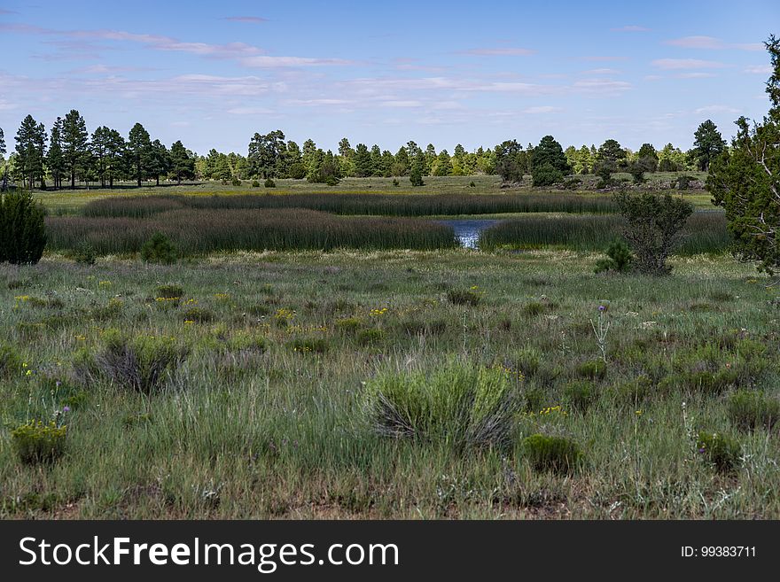 Prime Lake wetland on Anderson Mesa. The Arizona National Scenic Trail Anderson Mesa Passage &#x28;AZT-30&#x29; traverses Anderson Mesa in the Lake Mary area southeast of Flagstaff. The passage begins northwest of Mormon Lake, crosses Lake Mary Road near Pinegrove Campground, and ascends Anderson Mesa, passing near several small wetlands on its way to Marshall Lake, the most well-known of these magical and important wildlife habitats. Between Vail and Prime Lakes, the trail skirts around observatory facilities to the edge of the mesa, providing a stunning panoramic view of Lake Mary. On Coconino National Forest maps, the Arizona Trail is labeled as trail number 87 for its entire traversal of the Forest. This photo was taken in August 2017 by Deborah Lee Soltesz during a day hike from Marshall Lake to a point just west of Vail Lake. Credit: U.S. Forest Service Coconino National Forest. For information on this passage, visit Arizona Trail: Anderson Mesa Passage AZT-30 and download the Anderson Mesa Passage AZT-30 trail map. Visit Coconino National Forest for more trails and other recreation opportunities. Prime Lake wetland on Anderson Mesa. The Arizona National Scenic Trail Anderson Mesa Passage &#x28;AZT-30&#x29; traverses Anderson Mesa in the Lake Mary area southeast of Flagstaff. The passage begins northwest of Mormon Lake, crosses Lake Mary Road near Pinegrove Campground, and ascends Anderson Mesa, passing near several small wetlands on its way to Marshall Lake, the most well-known of these magical and important wildlife habitats. Between Vail and Prime Lakes, the trail skirts around observatory facilities to the edge of the mesa, providing a stunning panoramic view of Lake Mary. On Coconino National Forest maps, the Arizona Trail is labeled as trail number 87 for its entire traversal of the Forest. This photo was taken in August 2017 by Deborah Lee Soltesz during a day hike from Marshall Lake to a point just west of Vail Lake. Credit: U.S. Forest Service Coconino National Forest. For information on this passage, visit Arizona Trail: Anderson Mesa Passage AZT-30 and download the Anderson Mesa Passage AZT-30 trail map. Visit Coconino National Forest for more trails and other recreation opportunities.