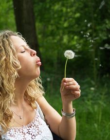 Curly Girl Blows Dandelion Stock Photos Curly Girl Blows Dandelion Stock Photos
