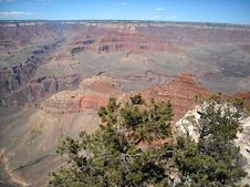 The Grand Canyon In Arizona Stock Images