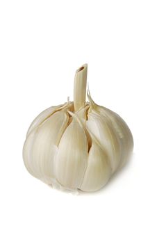 Garlic Royalty Free Stock Image Garlic Royalty Free Stock Image