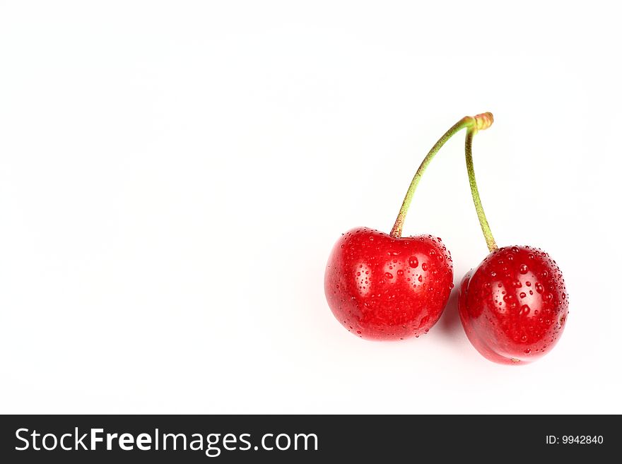 This photo was shot in the orchard,the fresh cherry was picked just now.