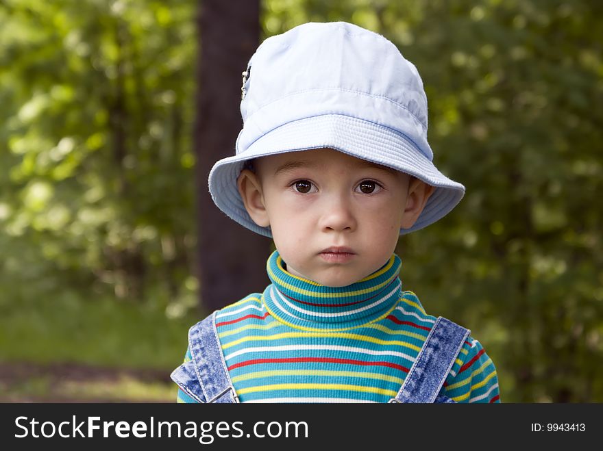 Portrait of the little boy on a summer wood background. Portrait of the little boy on a summer wood background