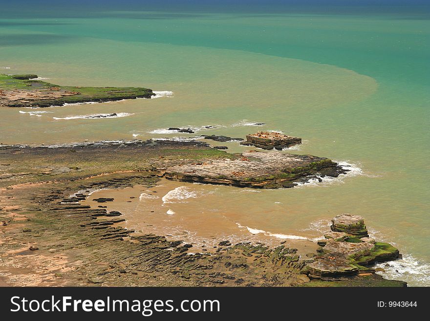 Sea lion colony on rocky patagonian coast