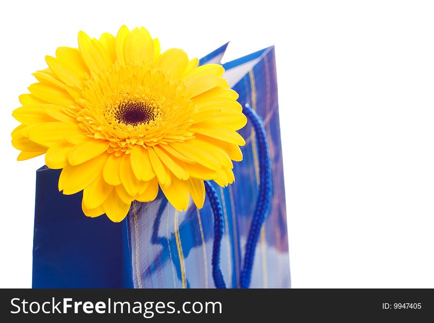 Paper bag for gifts with flower