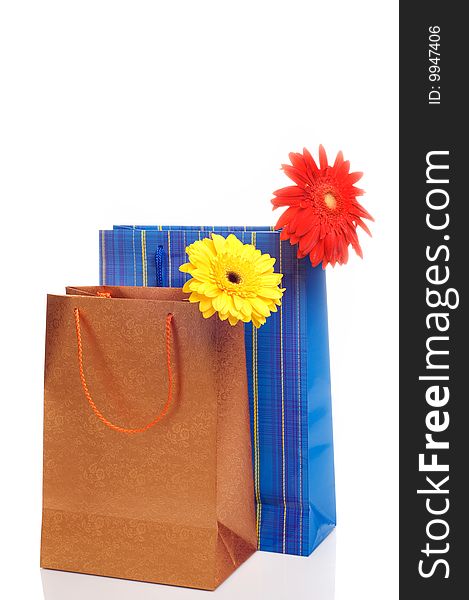 Two Paper Bags For Gifts