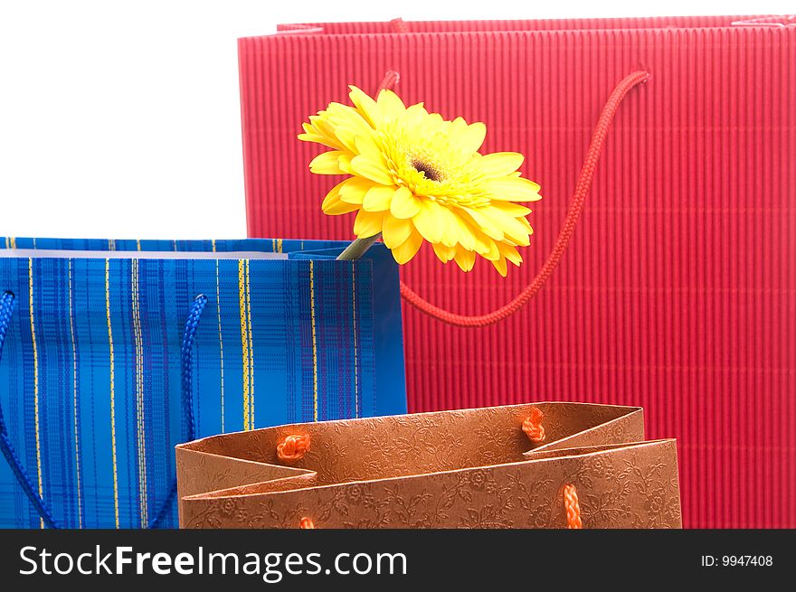Three paper bags for gifts