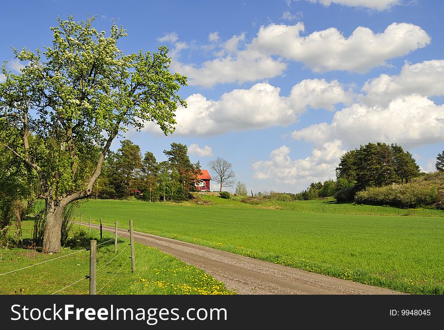 Idyllic Swedish countryside with farmland, red houses and blue sky