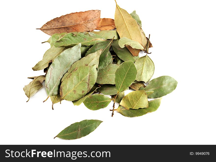 Laurel leaves on a white background. Spices for cooking.