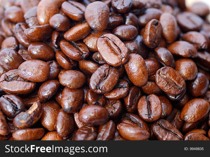 Close up capture on baked Mocha Coffee Bean. Close up capture on baked Mocha Coffee Bean