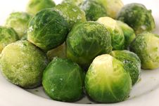 Green Ripe Cabbage Stock Photography Green Ripe Cabbage Stock Photography