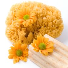 Natural Sponge, Soap And Flowers Stock Image Natural Sponge, Soap And Flowers Stock Image