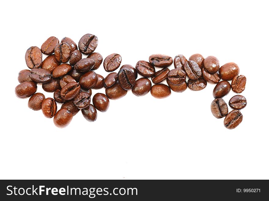 Fresh Coffee Bean Series 03