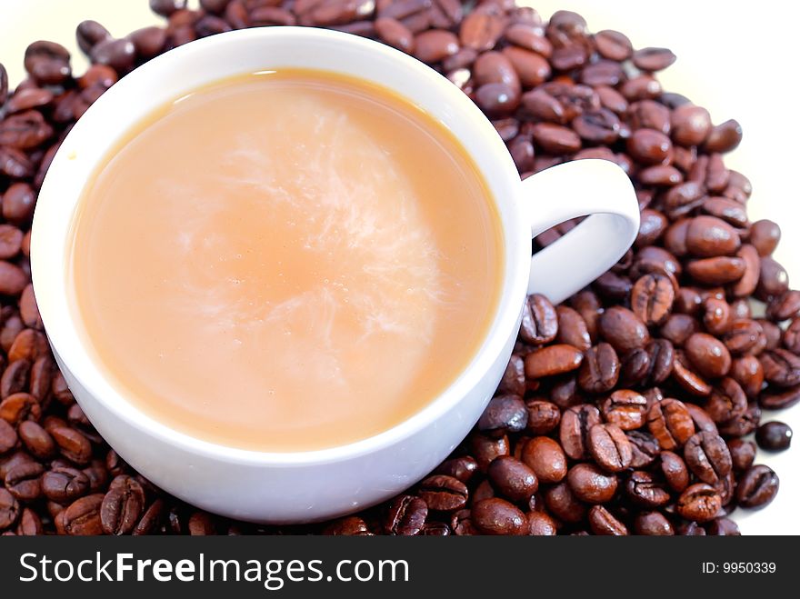 Mocha Coffee and Bean with white background. Mocha Coffee and Bean with white background