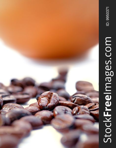 Fresh Coffee Bean Series 03