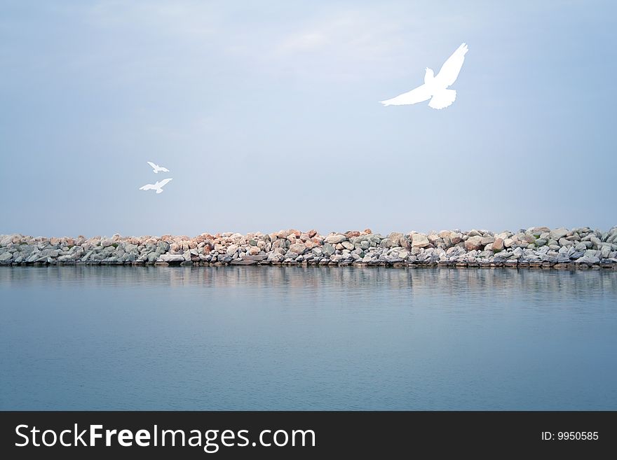 Holiday resort: horizontal sea, sky and birds playing. Holiday resort: horizontal sea, sky and birds playing