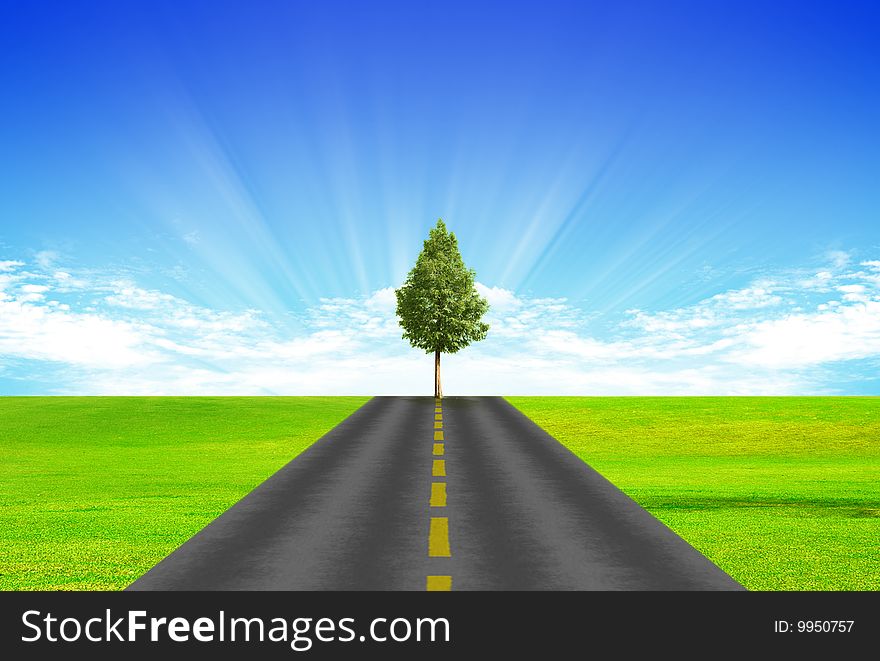 Road with yellow dividing stripon background of green grass and blue sky. The tree is on the road.