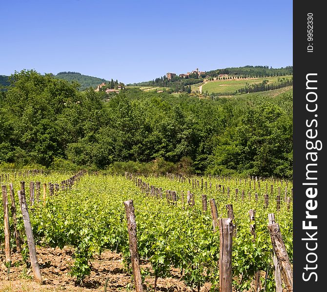 Characteristic Tuscan landscape with cypress trees, vineyards and small village near Radda in the Chianti region, Italy. Characteristic Tuscan landscape with cypress trees, vineyards and small village near Radda in the Chianti region, Italy.