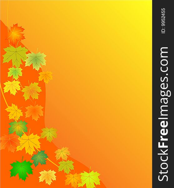 Vector illustration, autumn leaves background