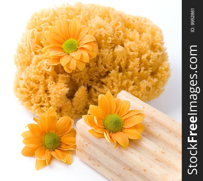 Natural sponge, soap and flowers closeup