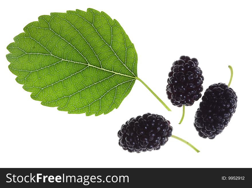 Mulberries and green leaf  isolated on white