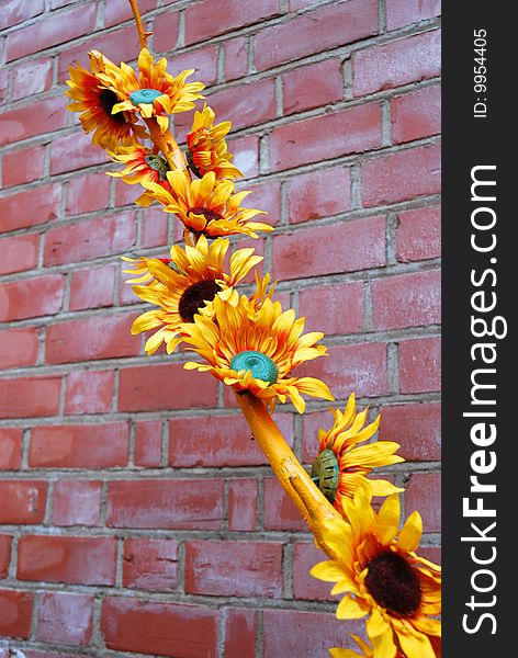 A shot of yellow artificial flower against a red brick wall. A shot of yellow artificial flower against a red brick wall
