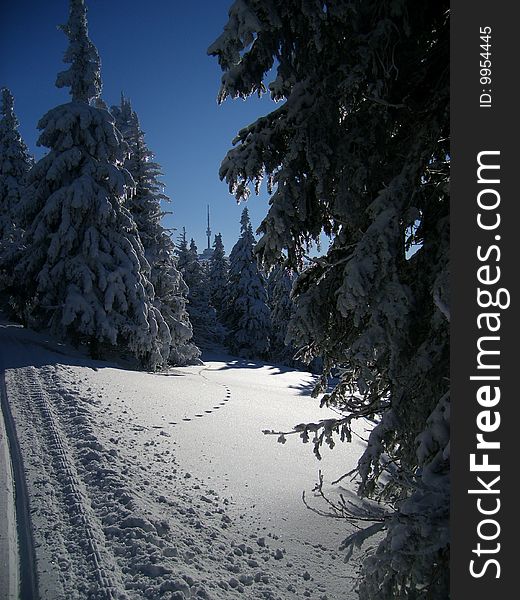 A view of the Great grandfather-hill, the biggest mountain of HrubÃ½ JesenÃ­k in the Czech republic