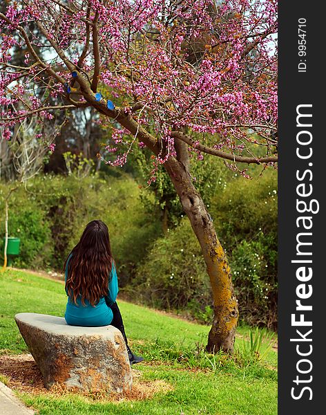 Young Woman sitting under the tree. Young Woman sitting under the tree