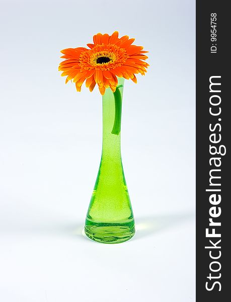 Decorative flower in glass vase isolated on white background. Decorative flower in glass vase isolated on white background