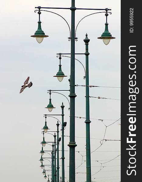 Street lamps and flying dove. Street lamps and flying dove.