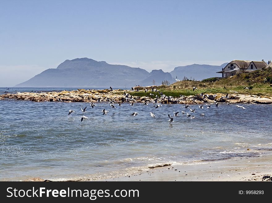 The sleepy little village town of Kommetjie near Cape Town, South Africa