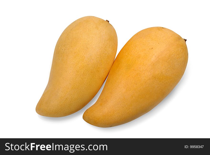 Two mangoes on isolated white background