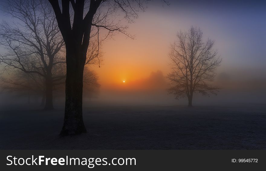 Sunrise In Fog