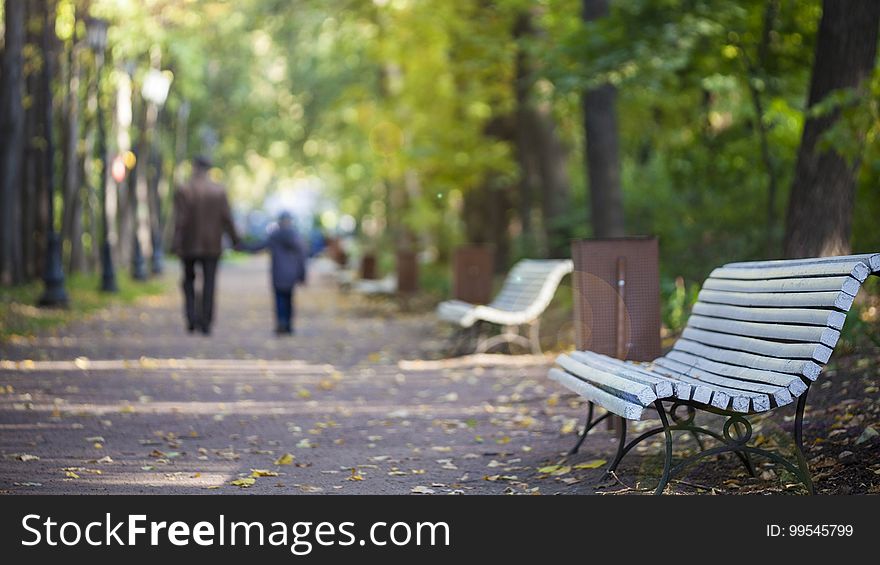 Empty park benches on walkway covered in fallen leaves on sunny day.