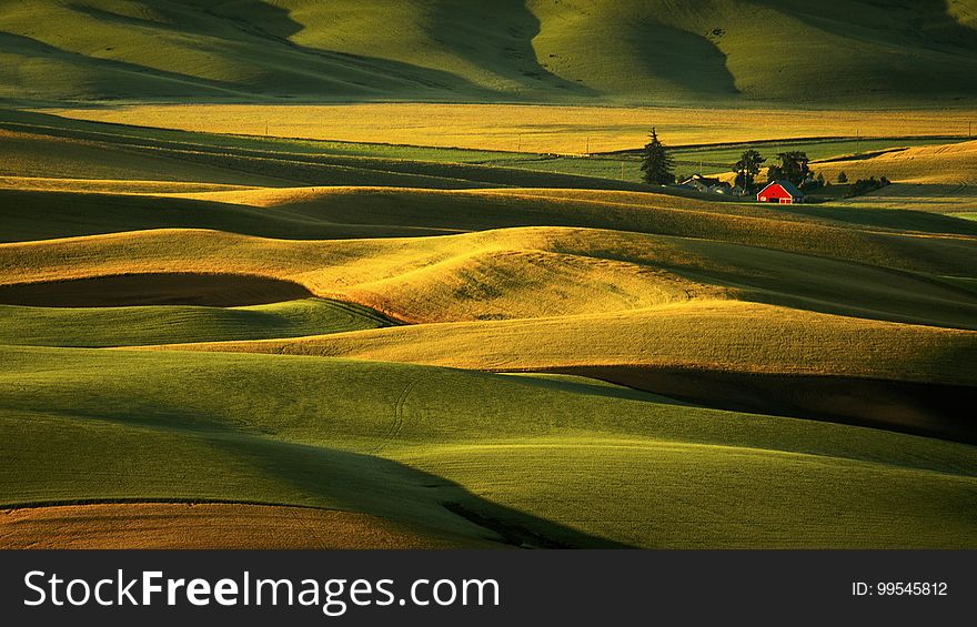 Palouse Hills At Sunrise