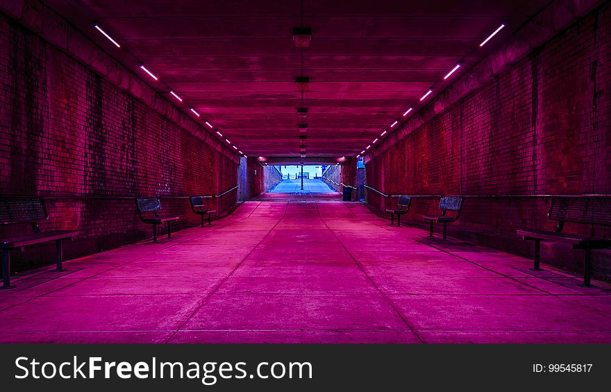 Pink lights in empty tunnel. Pink lights in empty tunnel.